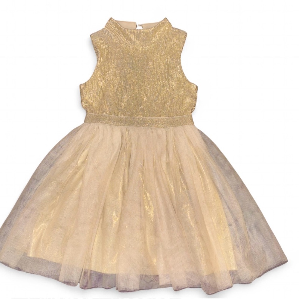 Pink & Violet Girls Toddler Gold Metallic Tulle Dress- size 5